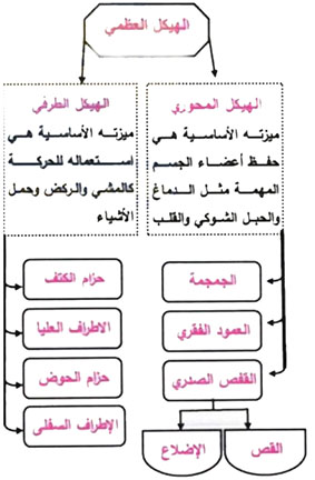 مثال