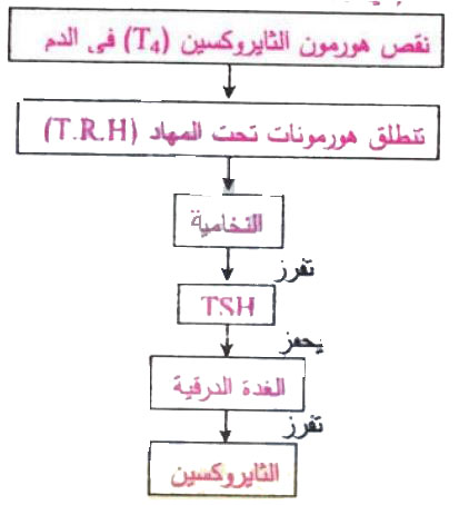 مثال