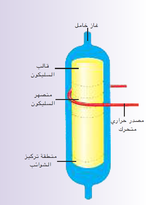 الشكل
