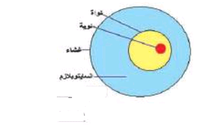 الشكل