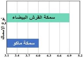 الشكل