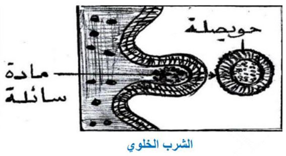 مثال