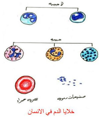 مثال