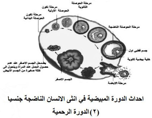مثال