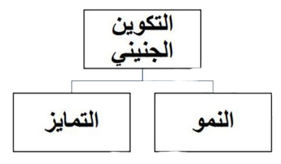 مثال