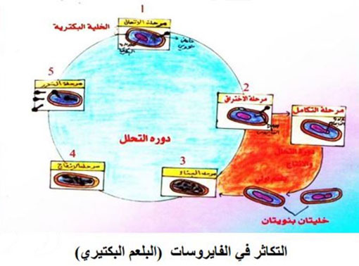 مثال