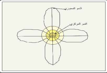 نظرية القطاع:
