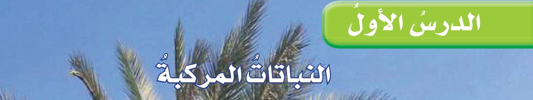 الدرس الأول: النباتات المركبة