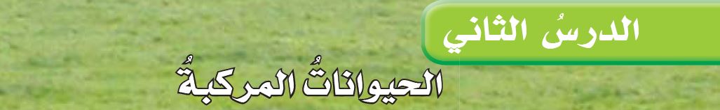 الدرس الثاني: الحيوانات المركبة