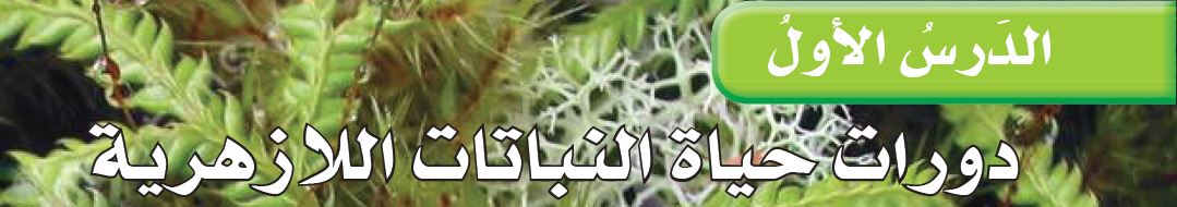 الدرس الأول: دورات حياة النباتات اللازهرية