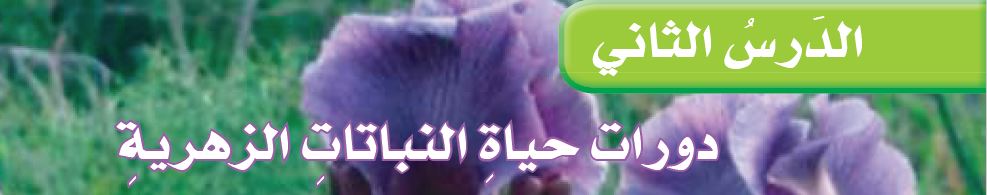 الدرس الثاني: دورات حياة النباتات الزهرية