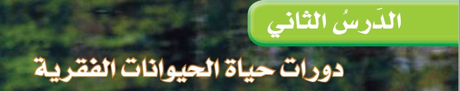 الدرس الثاني: دورات حياة الحيوانات الفقرية