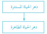 ترتيب الدهور