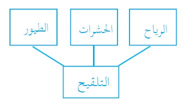 عملية التلقيح