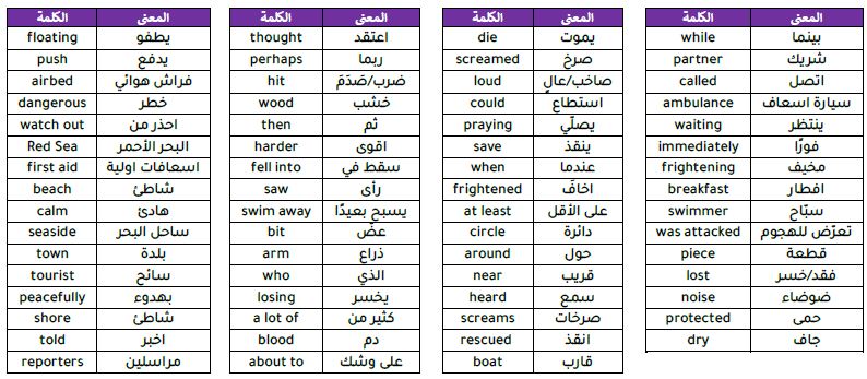 vocabulary