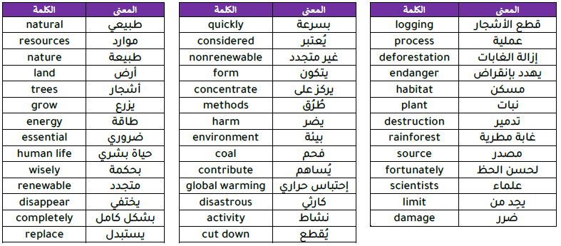 vocabulary