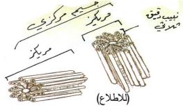 الشكل