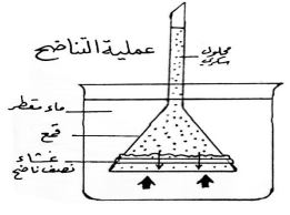 الشكل