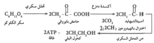 الشكل