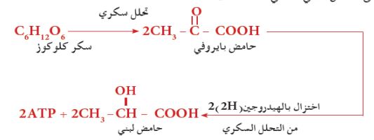 الشكل