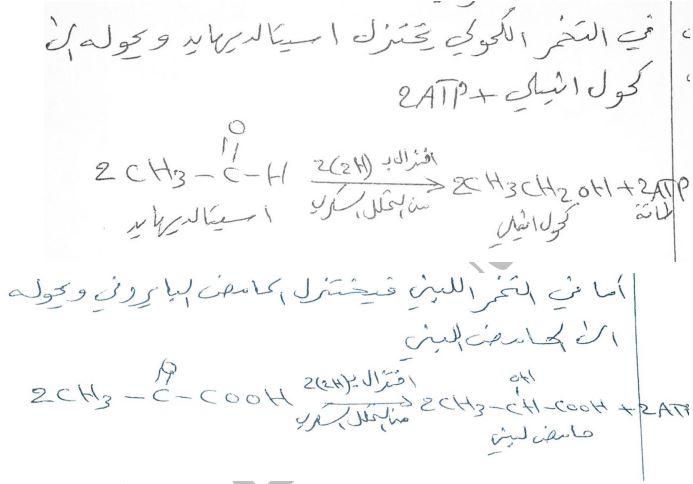 الشكل