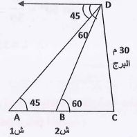 الشكل