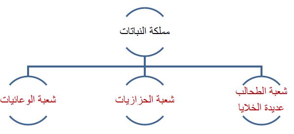 مملكة النباتات