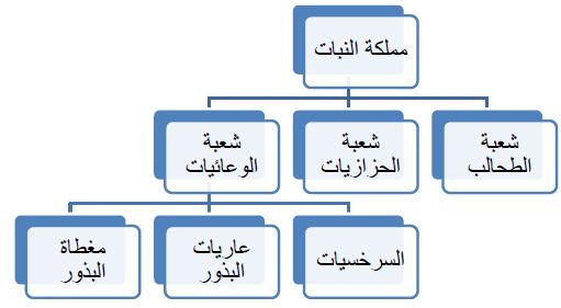 مملكة النبات