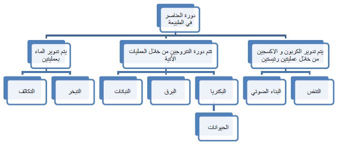 دورة العناصر في الطبيعة