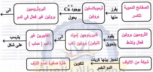 مخطط لعملية تخثر الدم